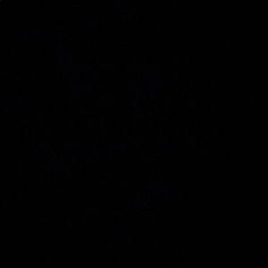 Meet your Posher, Mary kate